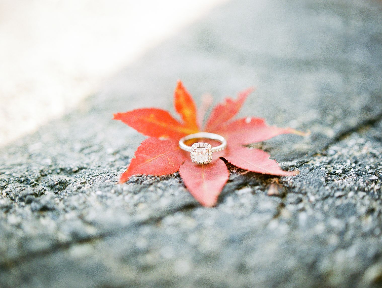 engagement ring on an autumn leaf