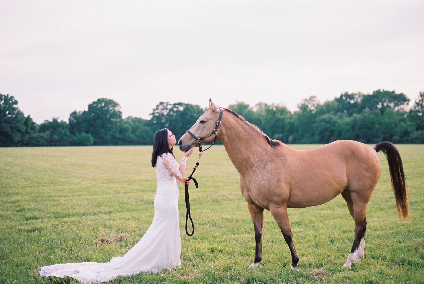 alabama horse bridal portraits